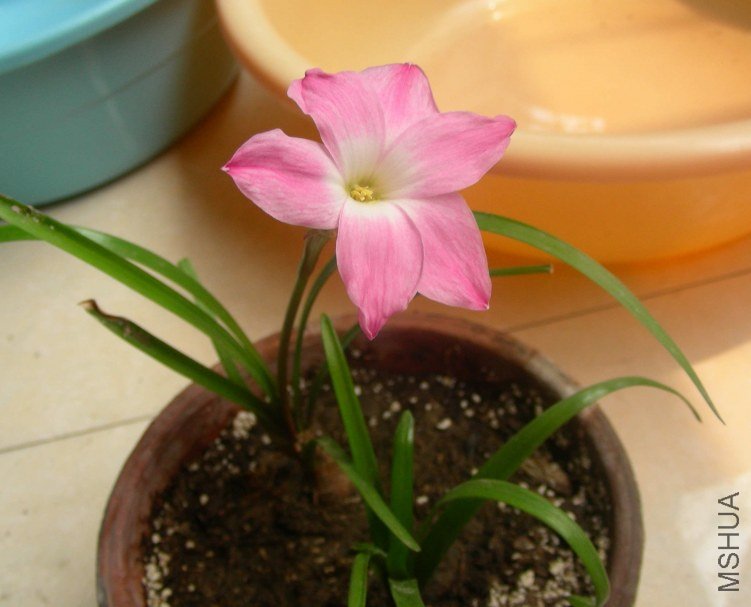DSCN8042.JPG
