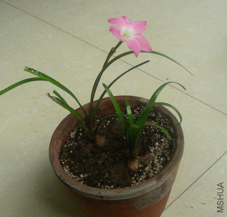 DSCN8043.JPG