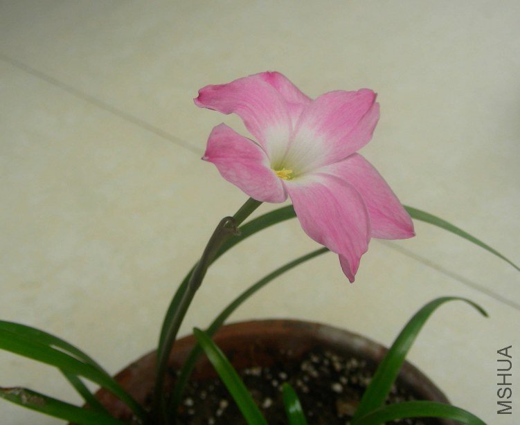 DSCN8044.JPG