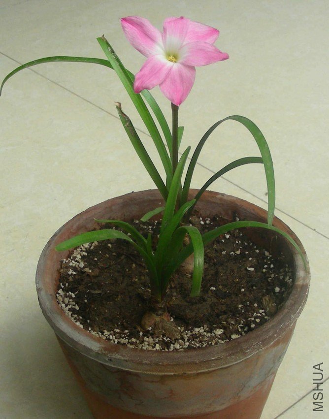 DSCN8045.JPG