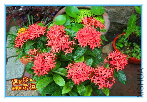 ��Ƭ 015_����.jpg