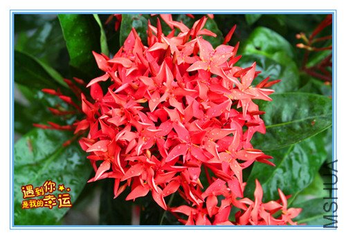 ��Ƭ 016_����.jpg