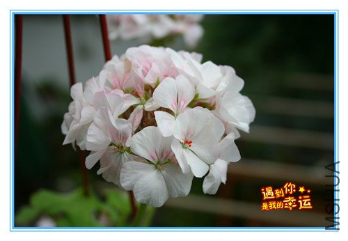 ��Ƭ 016_����.jpg