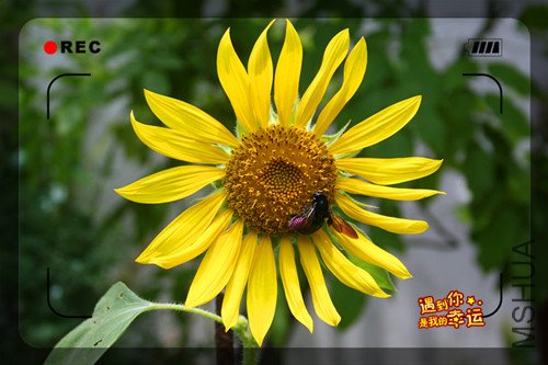 ��Ƭ 121_����.jpg