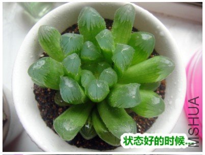 QQ��ͼ20120719182339.jpg