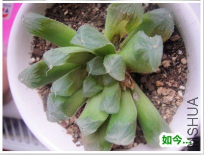 QQ��ͼ20120719182349.jpg