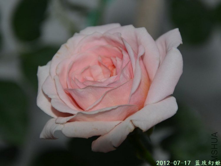 20120717 (9).JPG