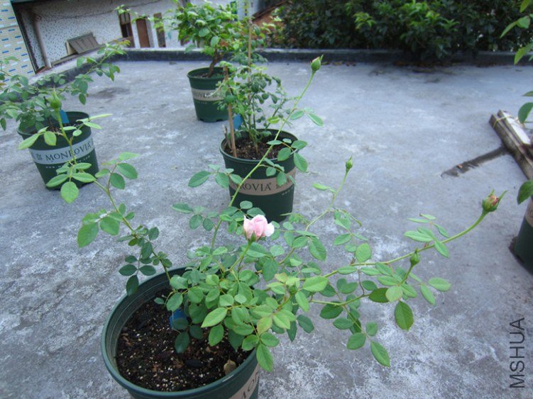 ��Ƭ 090_����_����.jpg