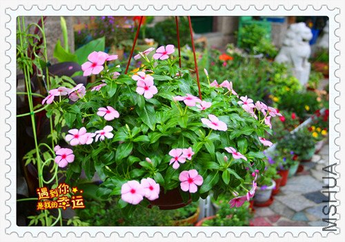 ��Ƭ 003_����.jpg