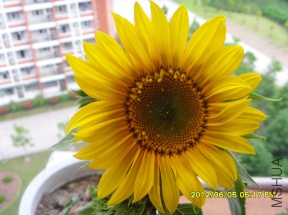 QQ��ͼ20120720134710.jpg