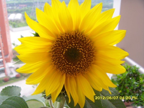 QQ��ͼ20120720134729.jpg