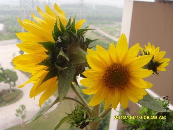 QQ��ͼ20120720134749.jpg