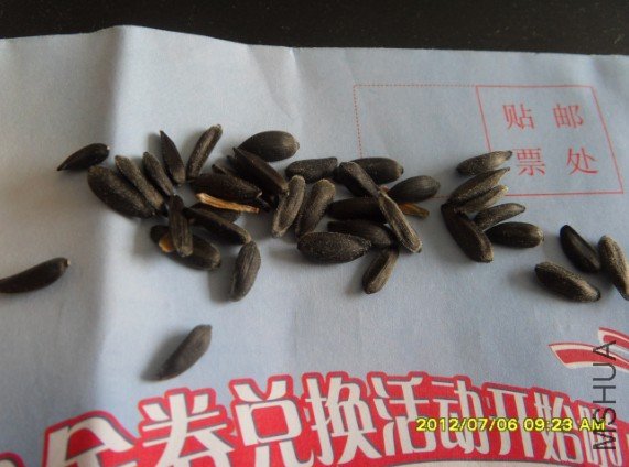 QQ��ͼ20120720135023.jpg