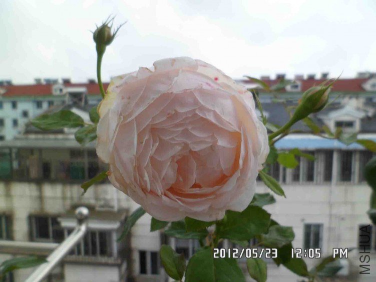 ����������Ϳ����Ѵ�