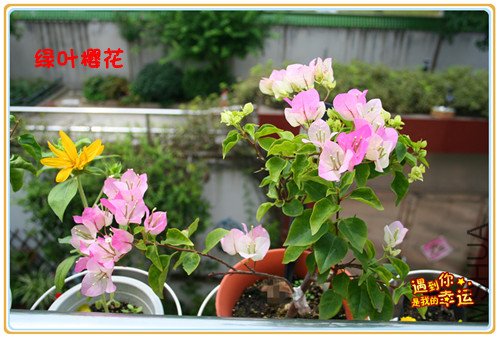 ��Ƭ 008_����.jpg