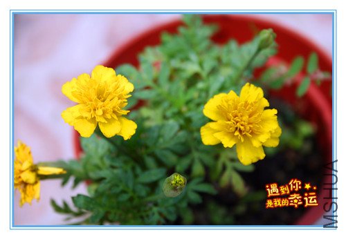 ��Ƭ 050_����.jpg