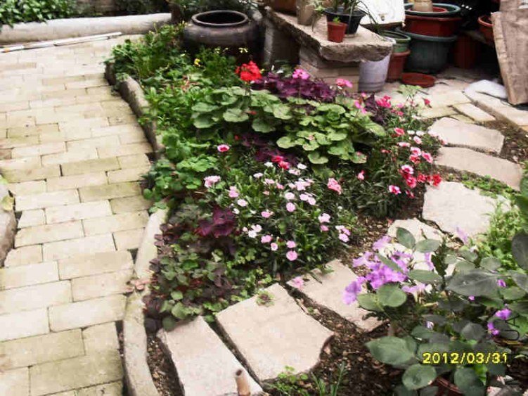 SDC12970.JPG