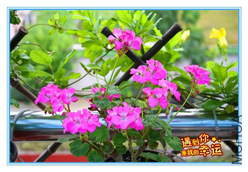 ��Ƭ 044_���� õ�����.jpg