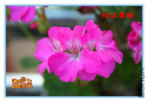 ��Ƭ 046_����õ�����.jpg