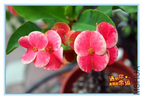 ��Ƭ 084_����4.jpg