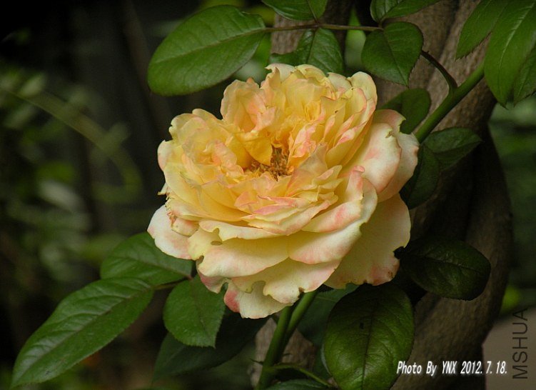 2012.7.18. 027_conew1.jpg