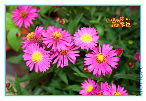 ��Ƭ 029_����2.jpg