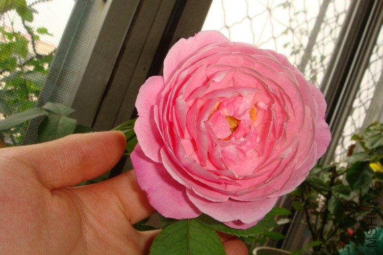 DSC00543.JPG
