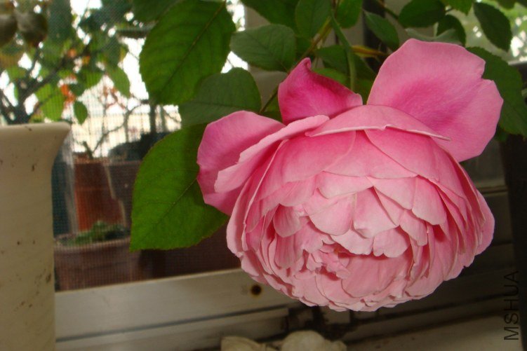 DSC00546.JPG