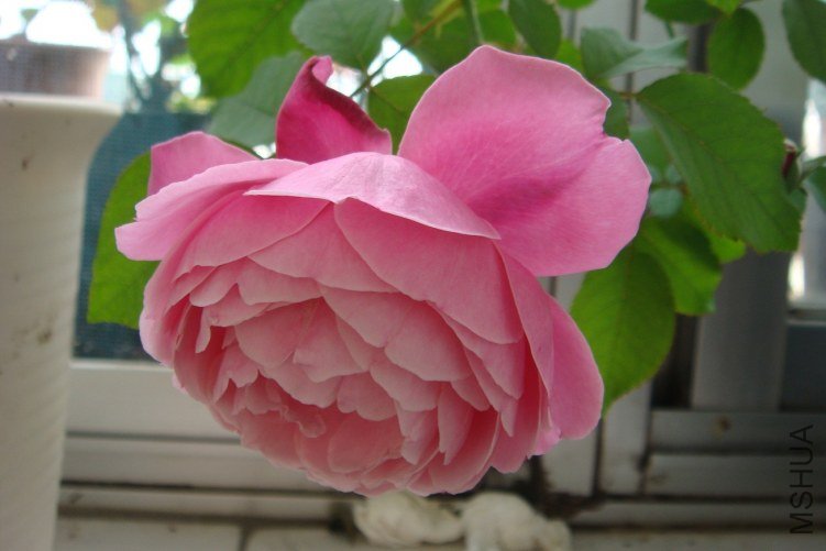 DSC00554.JPG