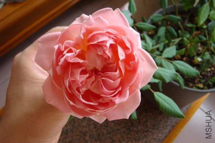 DSC00568.JPG