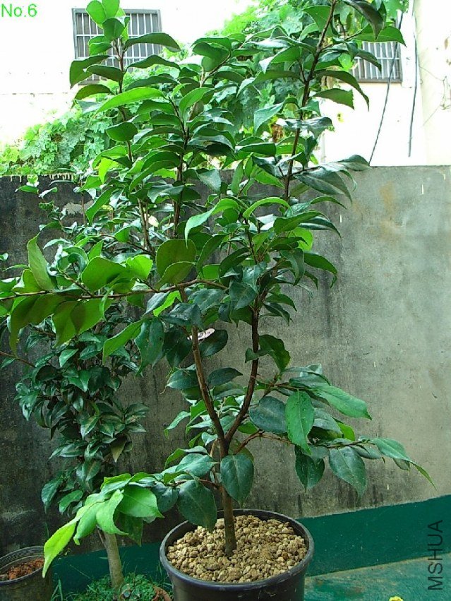 0722-6.JPG