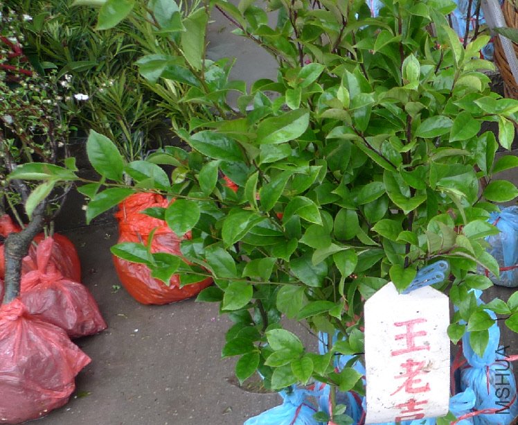 2012-7-23 ���� 09-13-07.jpg