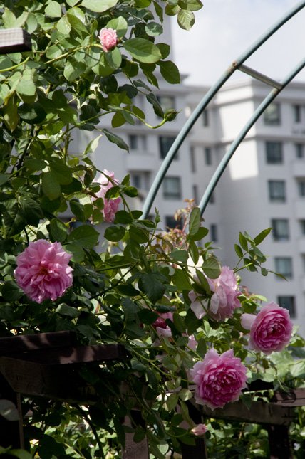 DSC_0045.jpg