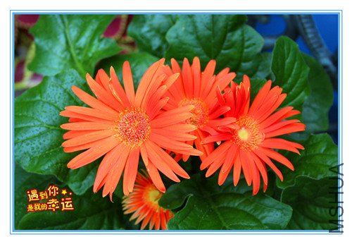 ��Ƭ 037_����.jpg