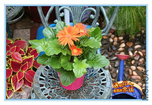 ��Ƭ 035_����.jpg