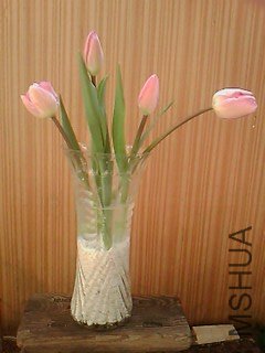 IMG0950A.jpg