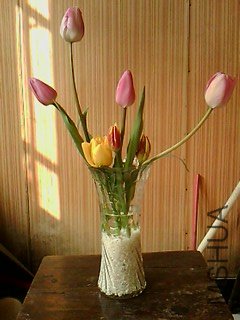 IMG1004A.jpg