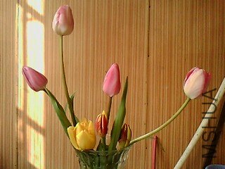 IMG1005A.jpg