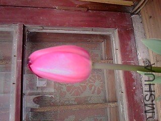 IMG1209A.jpg