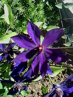 IMG1824A.jpg