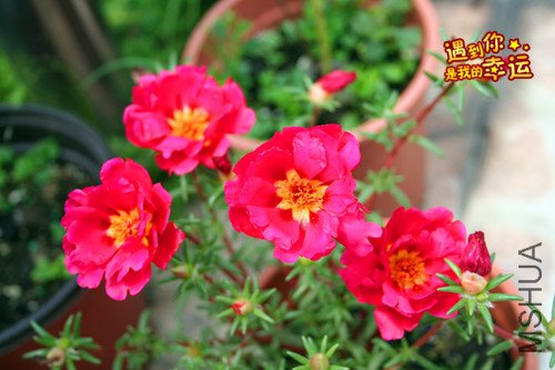 ��Ƭ 014_����.jpg