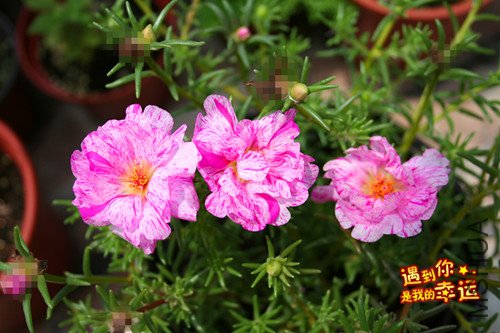 ��Ƭ 024_����.jpg