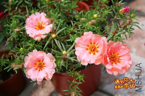 ��Ƭ 025_����.jpg