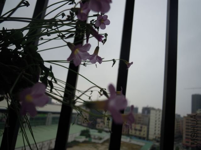 ��Ƭ 037.jpg