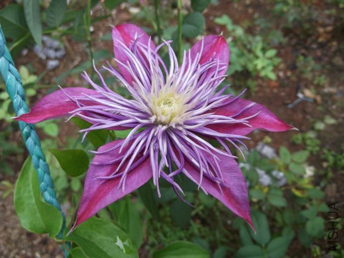 DSCF1759.jpg