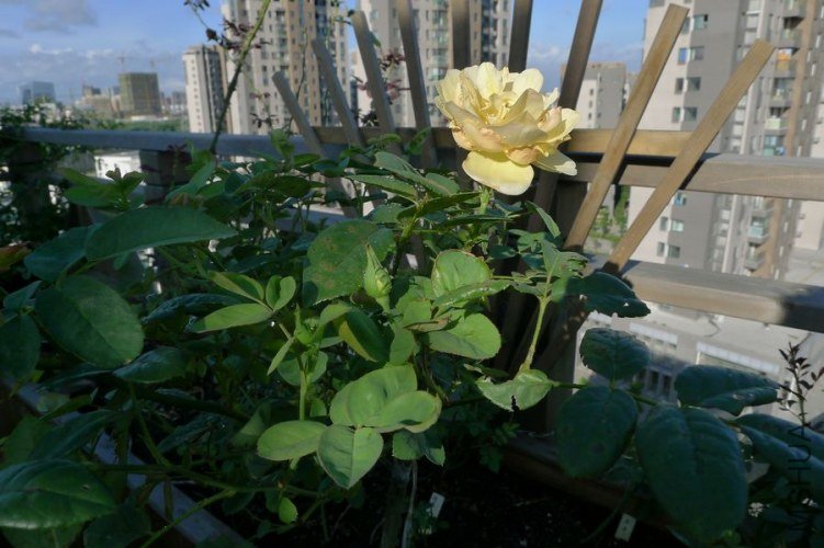P1050848.JPG