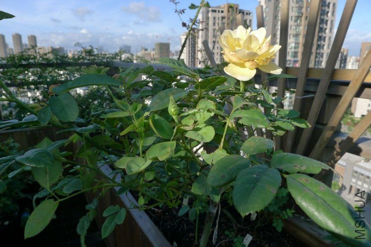 P1050849.JPG