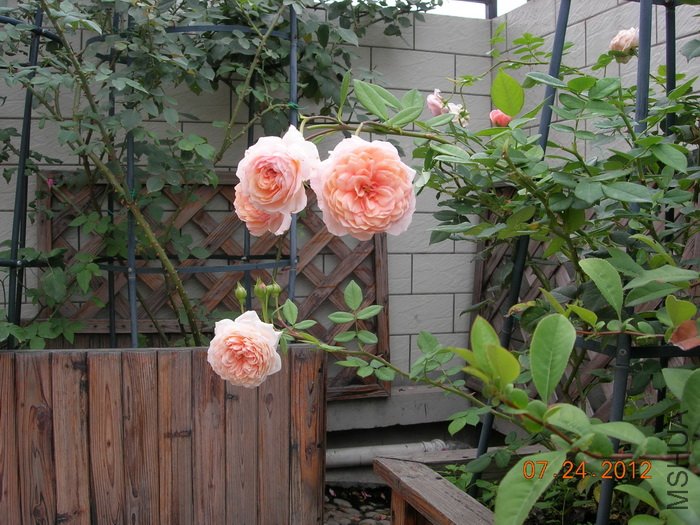DSCN4939.jpg