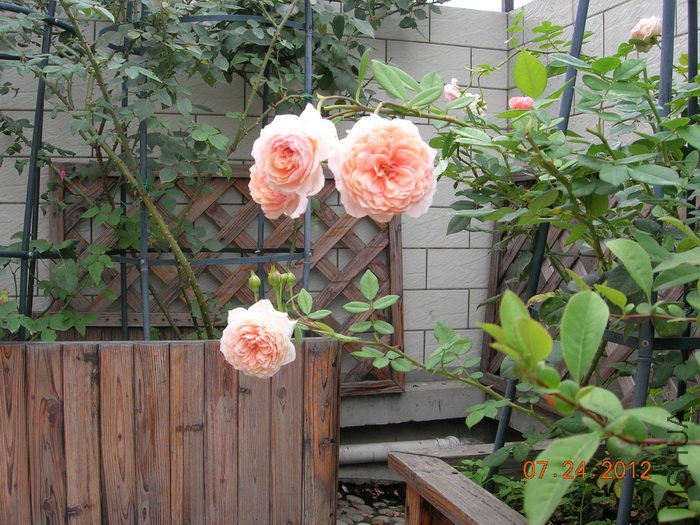 DSCN4940.jpg