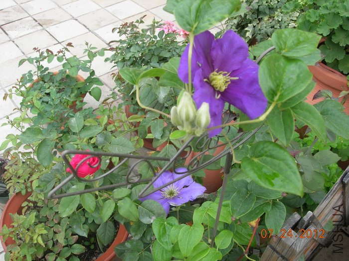DSCN4941.jpg